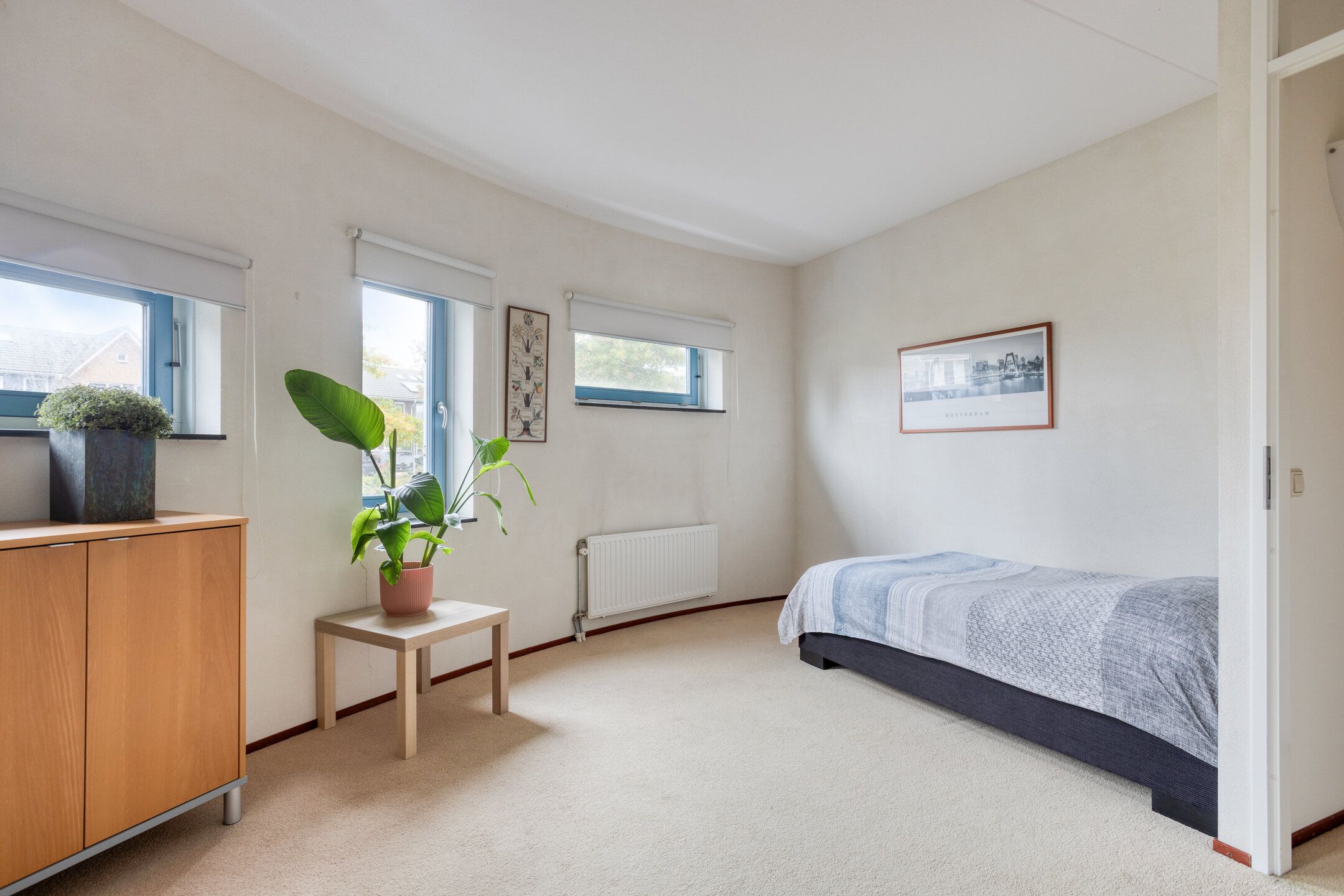 Foto 18 van Hopklaver 40