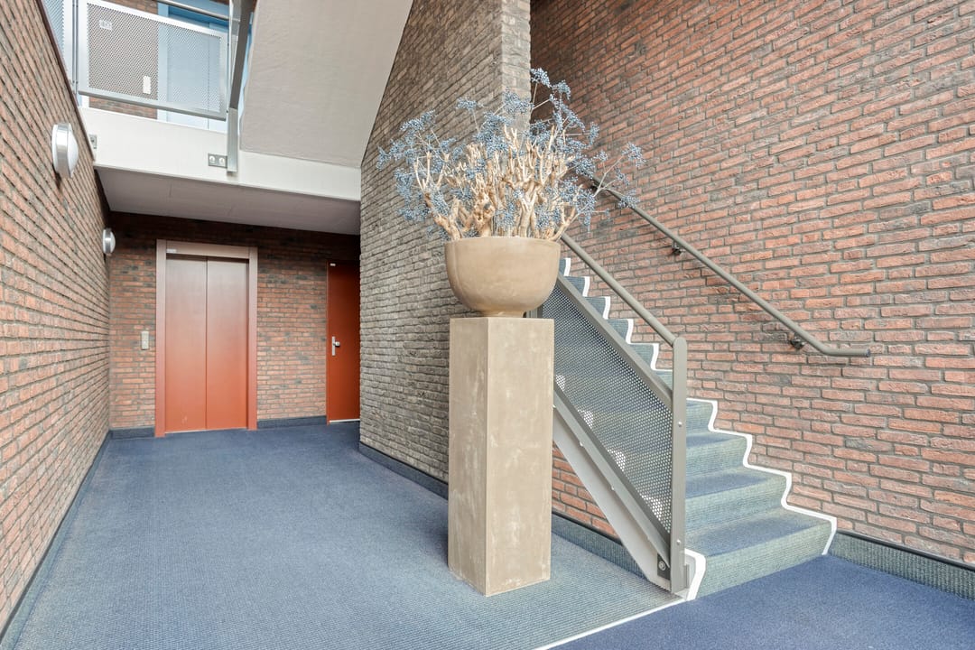 Foto 22 van Hopklaver 40