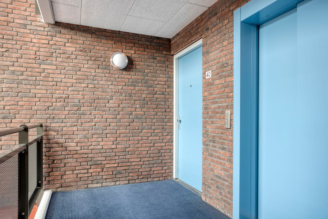 Foto 23 van Hopklaver 40