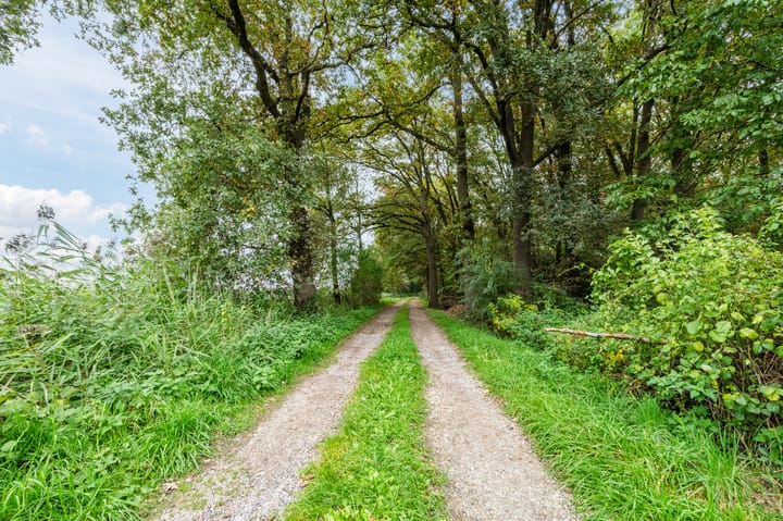 Foto 40 van Bekelaar 52-A