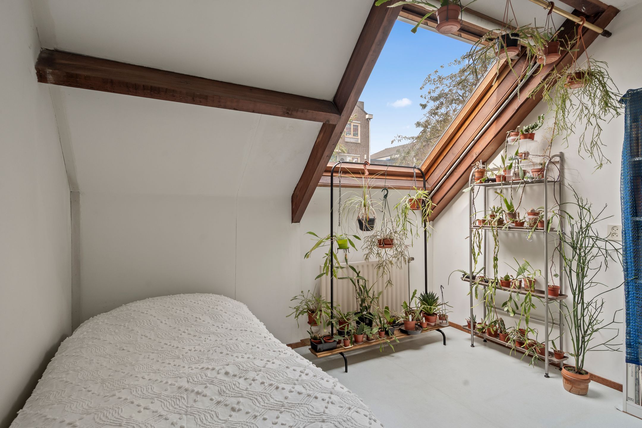 Photo 45 of Bazuinlaan 38