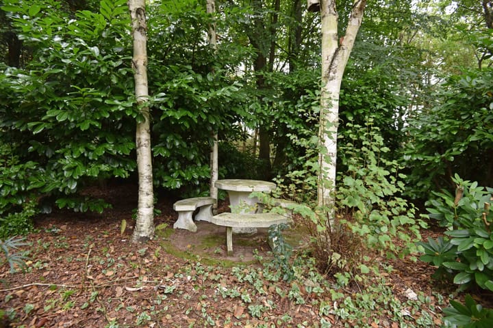 Photo 13 of Koeweg 17-10