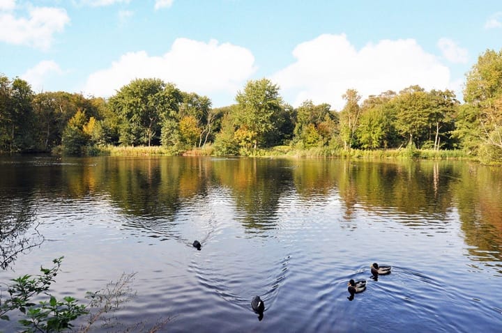 Photo 40 of Jacques Urlusstraat 147