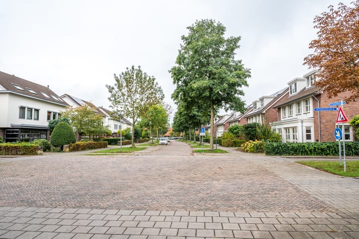 Photo 46 of Terracottastraat 50