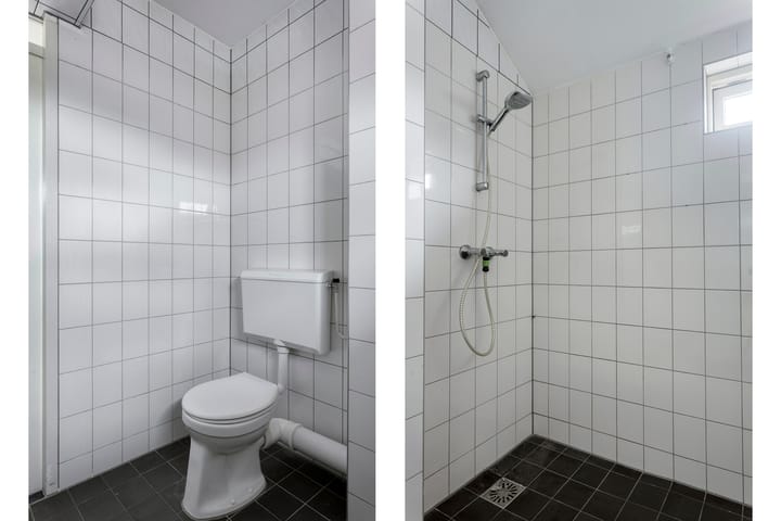 Photo 35 of Dinkel 68