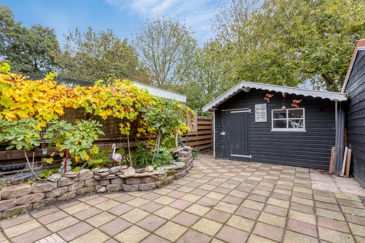 Photo 51 of Dinkel 68