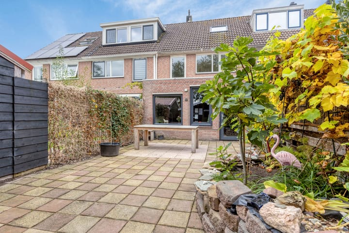 Photo 54 of Dinkel 68