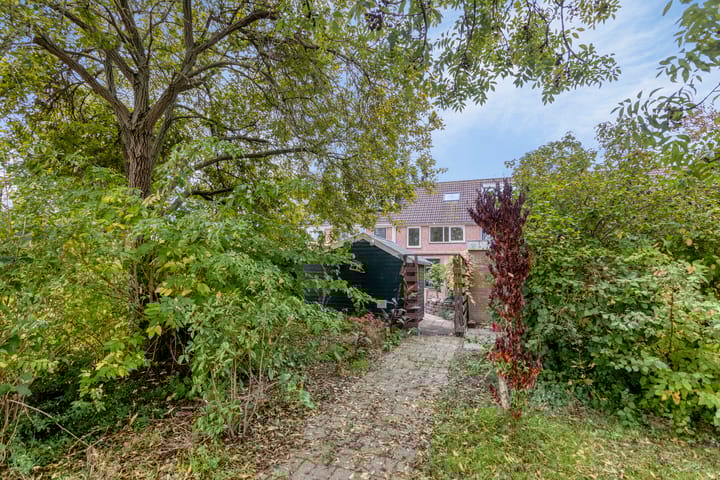 Photo 56 of Dinkel 68