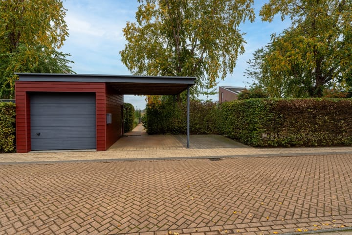 Foto 4 van Tureluur 15