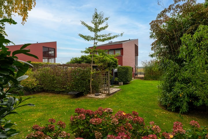 Foto 5 van Tureluur 15