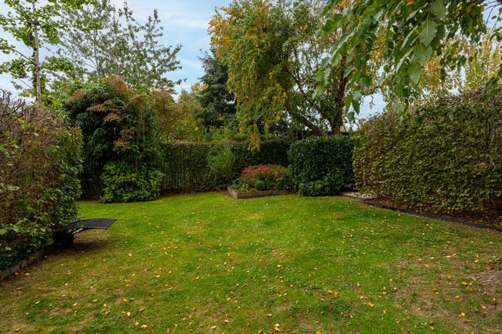 Foto 6 van Tureluur 15