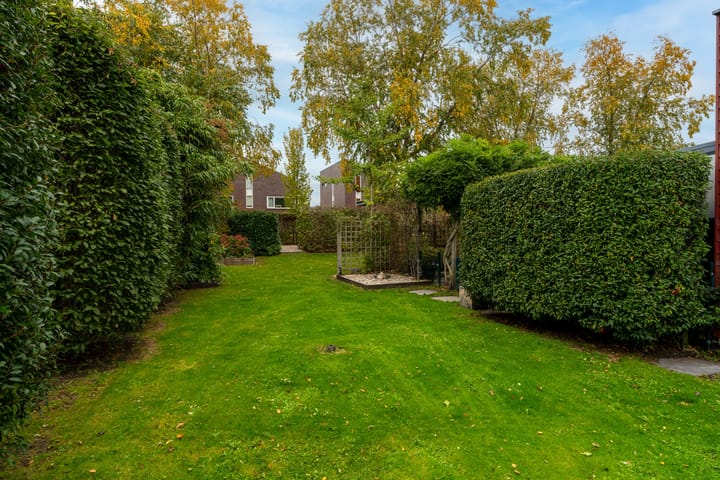 Foto 7 van Tureluur 15