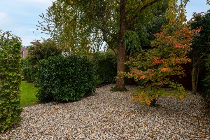 Foto 8 van Tureluur 15