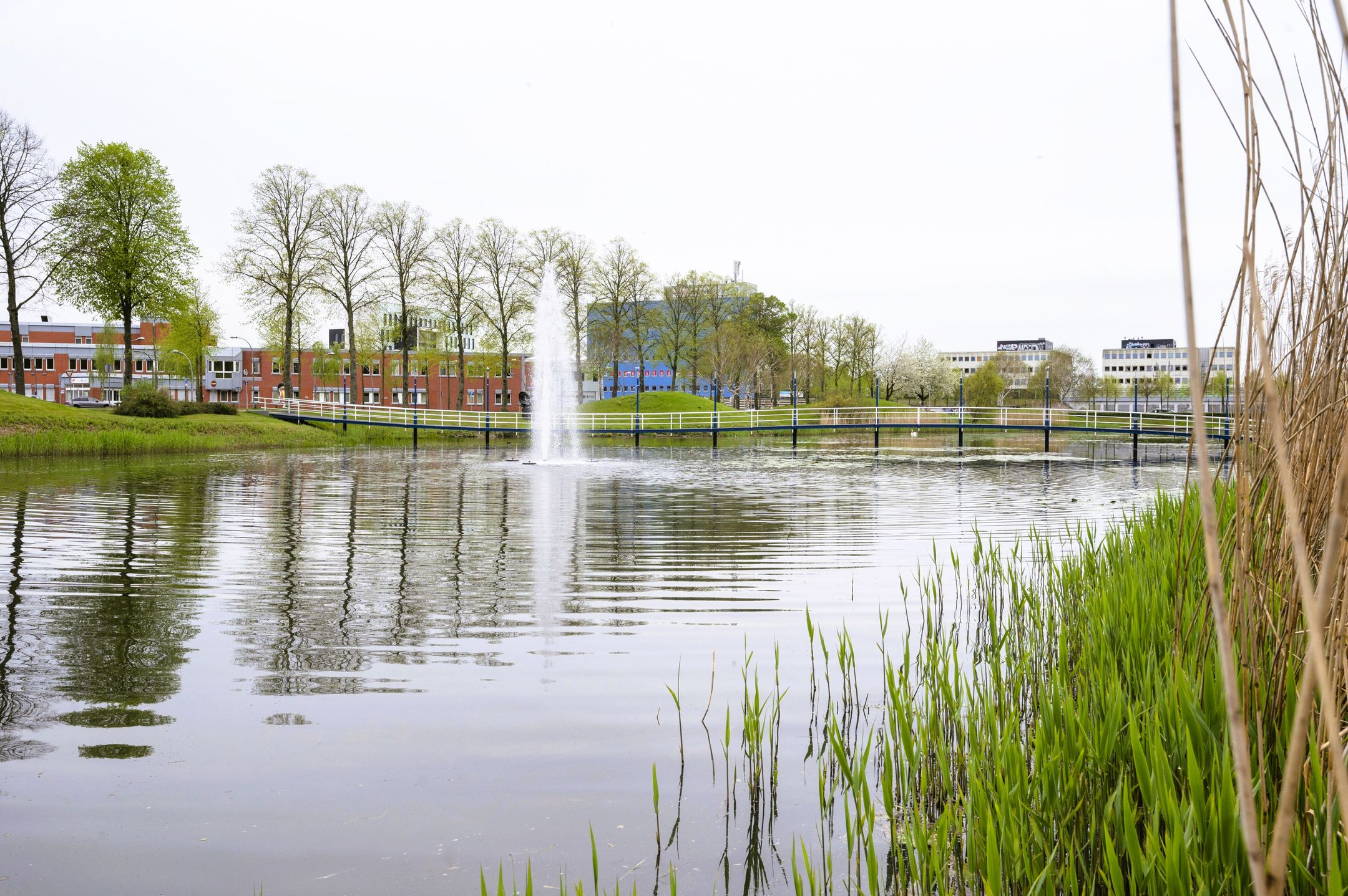 Foto 33 van Muntstraat 221