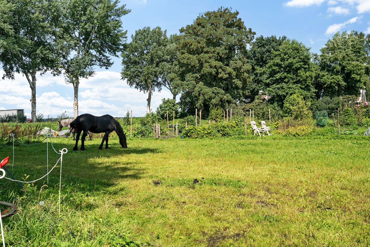 Foto 49 van Boermastreek 20