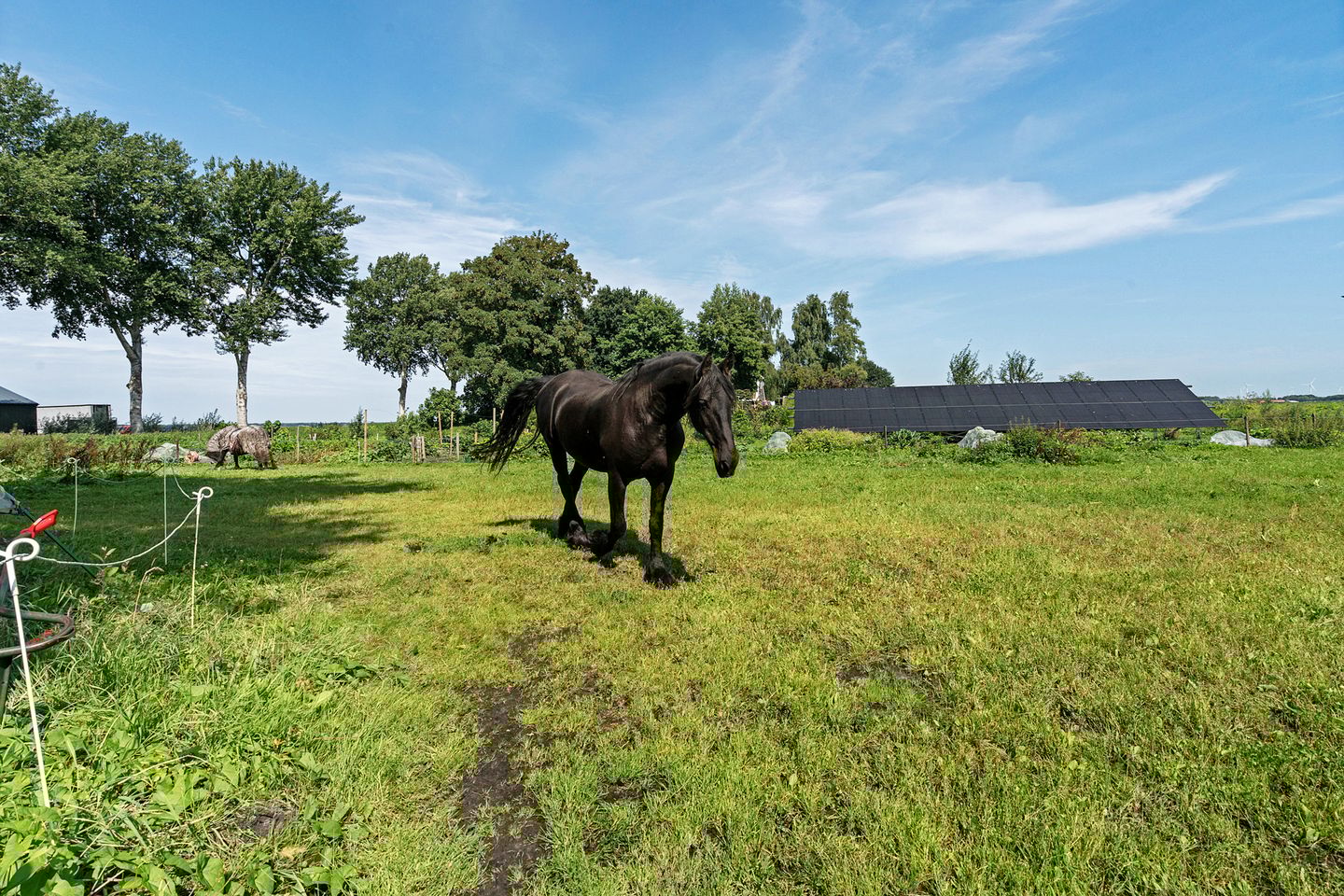 Foto 50 van Boermastreek 20