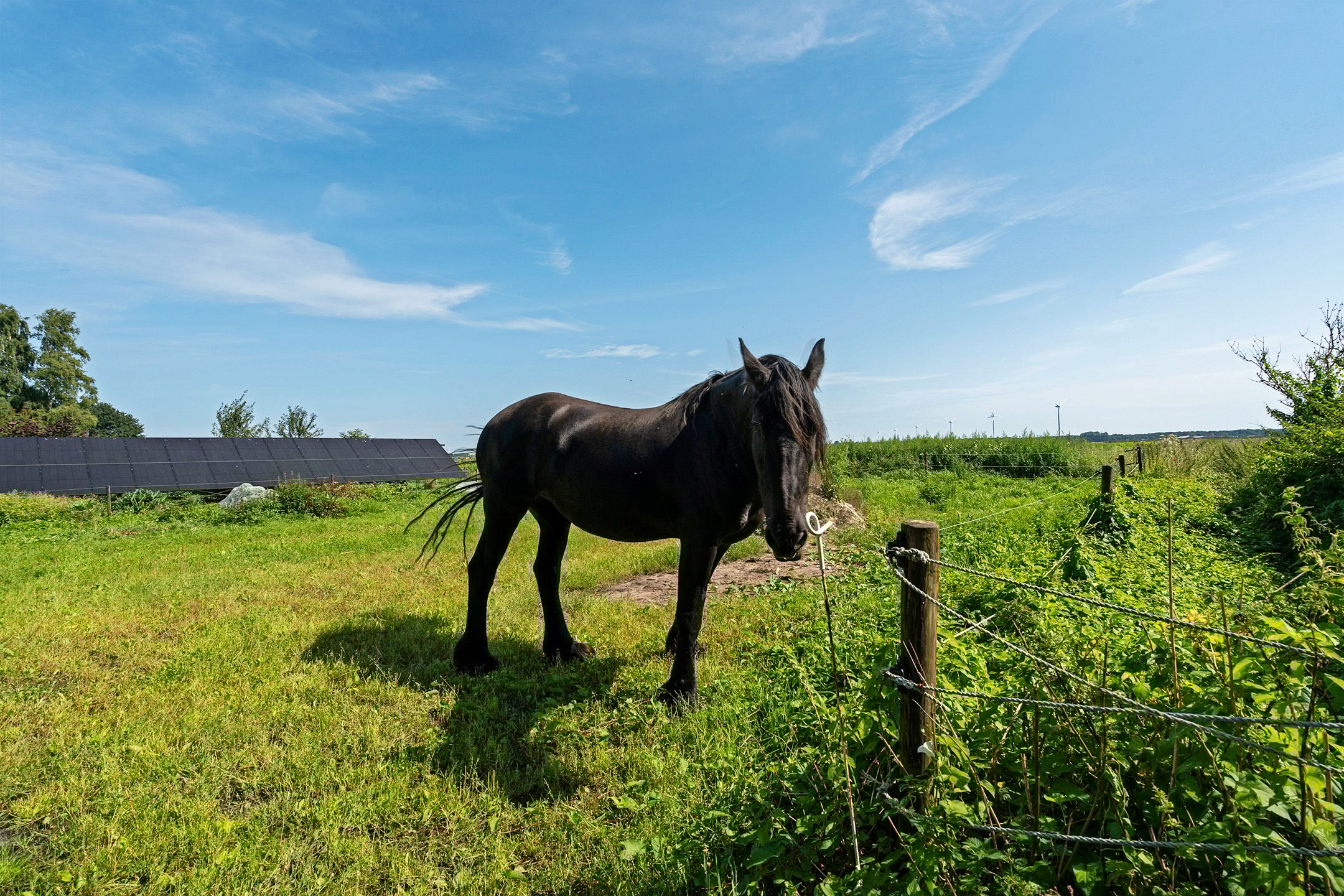 Foto 51 van Boermastreek 20