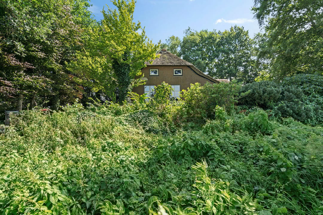 Foto 52 van Boermastreek 20