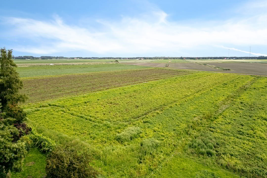 Foto 61 van Boermastreek 20