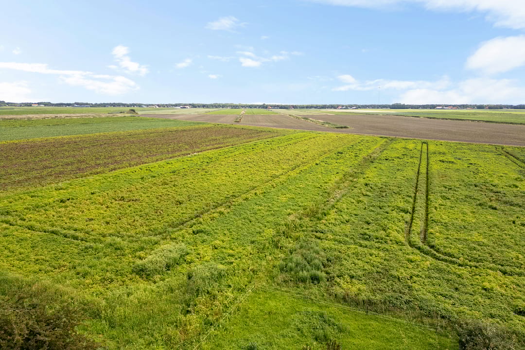 Foto 62 van Boermastreek 20