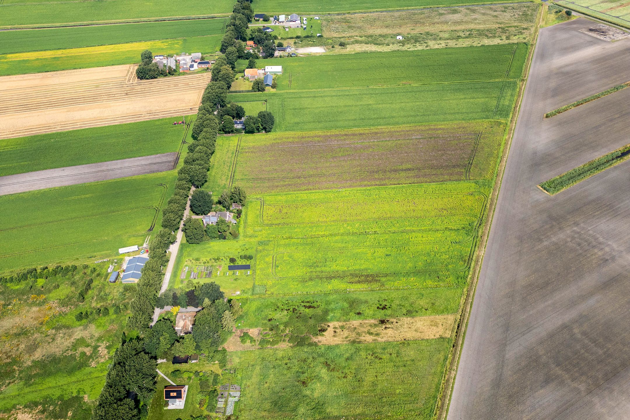 Foto 72 van Boermastreek 20