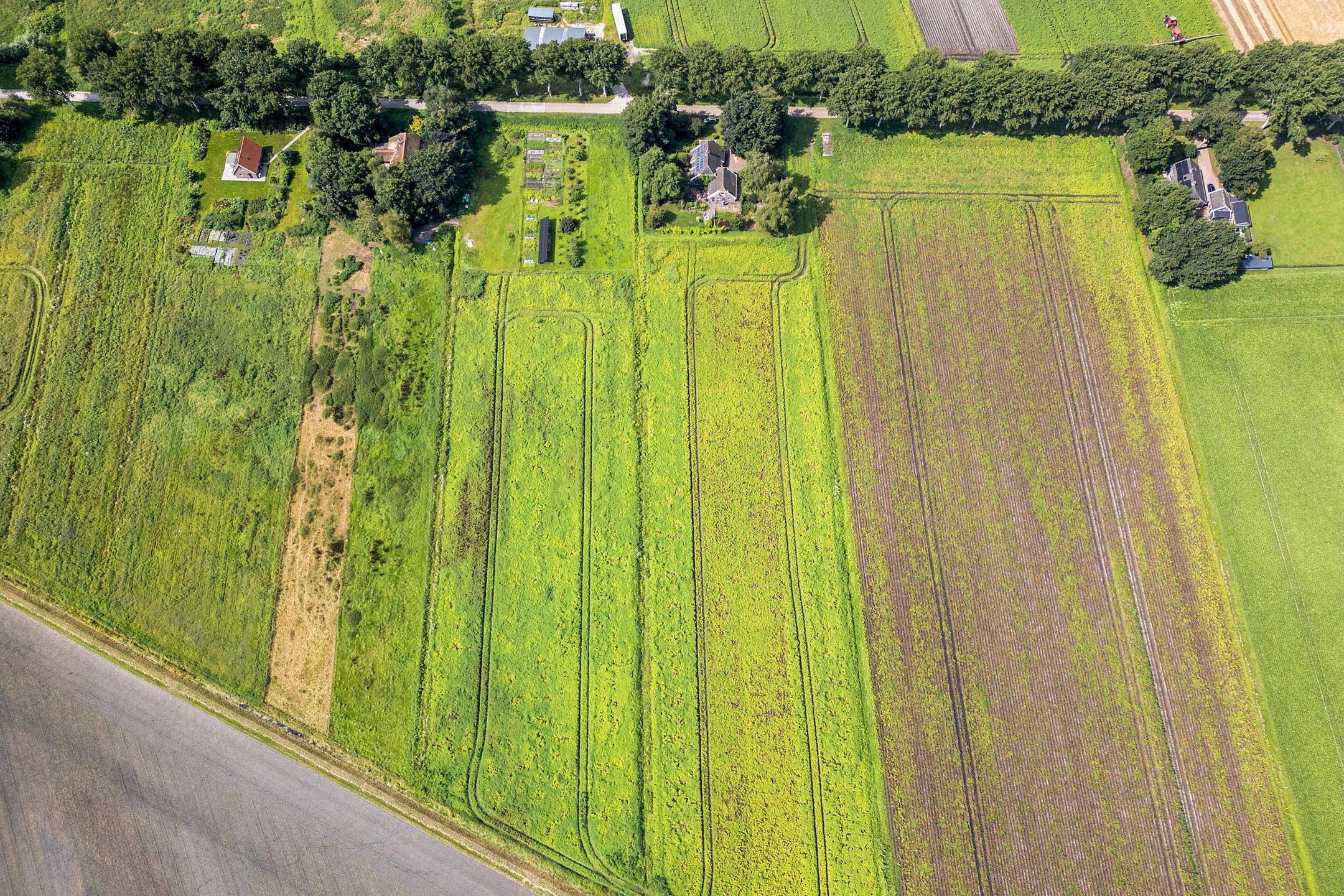 Foto 75 van Boermastreek 20