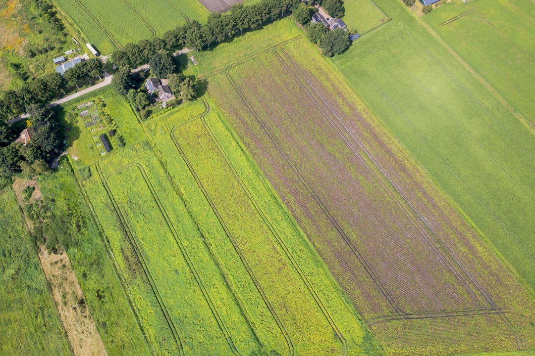 Foto 76 van Boermastreek 20