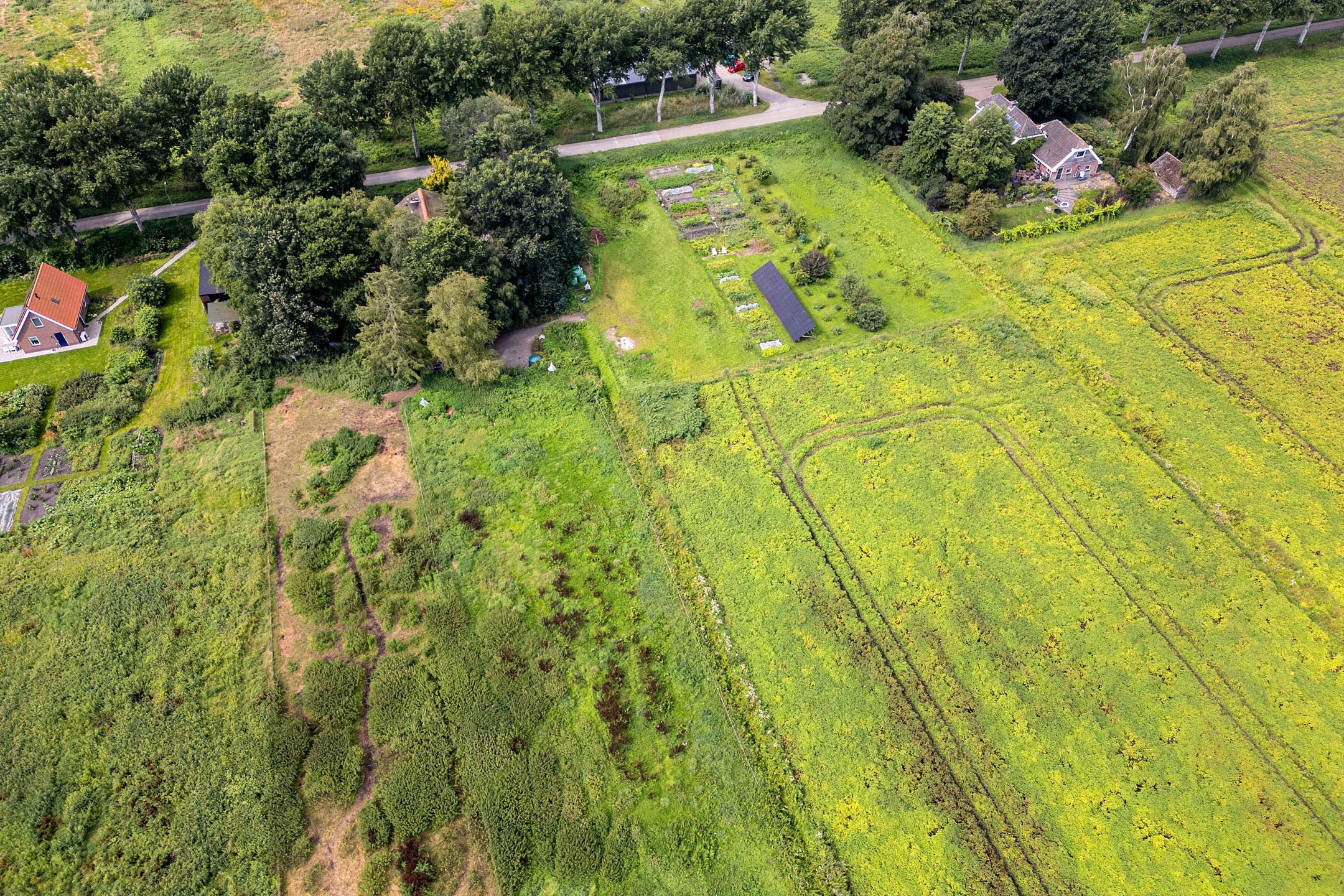 Foto 78 van Boermastreek 20