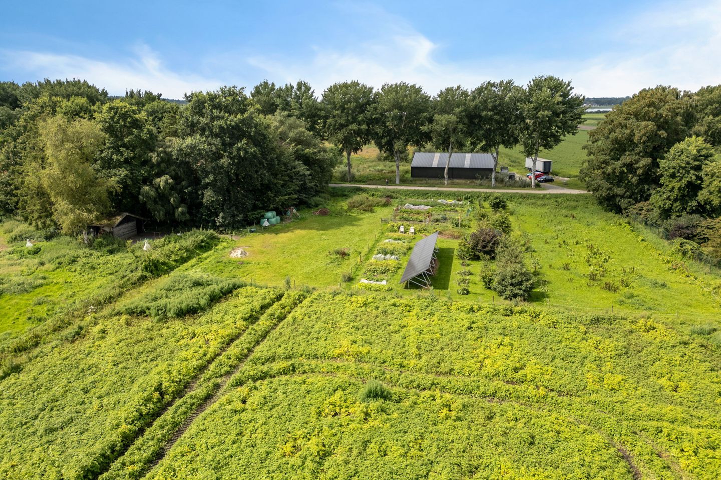 Foto 80 van Boermastreek 20