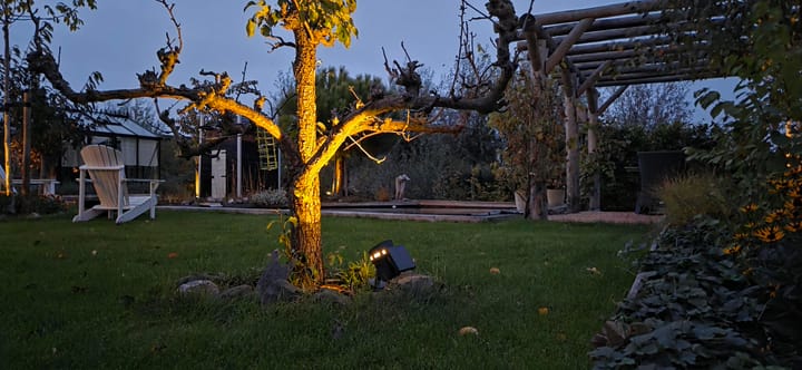 Foto 63 van Senecalaan 12