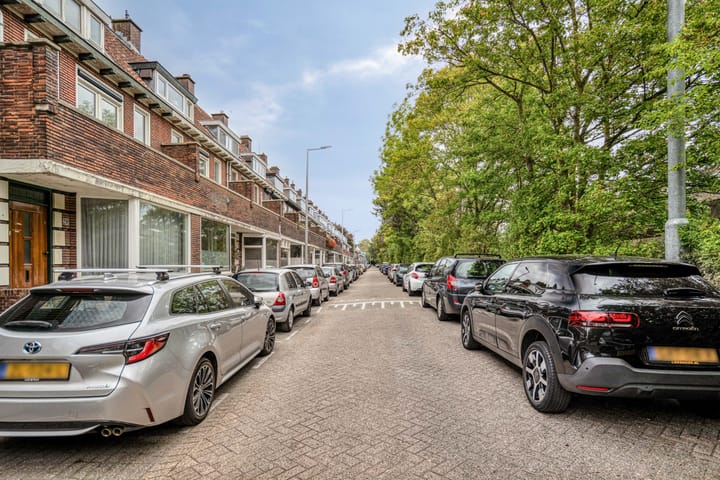 Foto 61 van West-Sidelinge 298