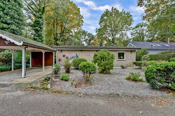 Foto 2 van Kievit 12-B289