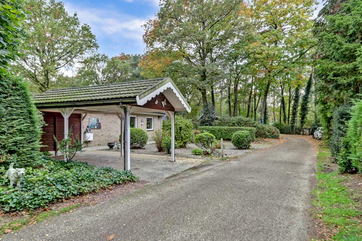 Foto 3 van Kievit 12-B289