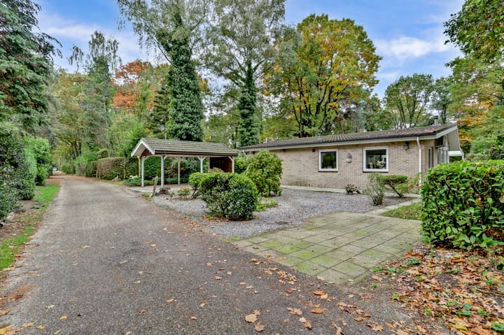 Foto 4 van Kievit 12-B289