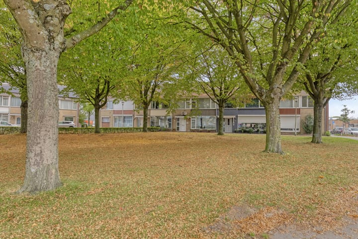 Foto 41 van Beethovenlaan 313