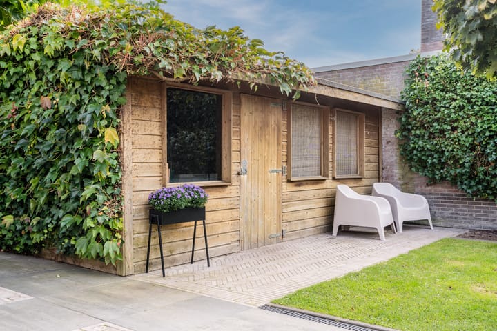 Foto 64 van Weegbree 2