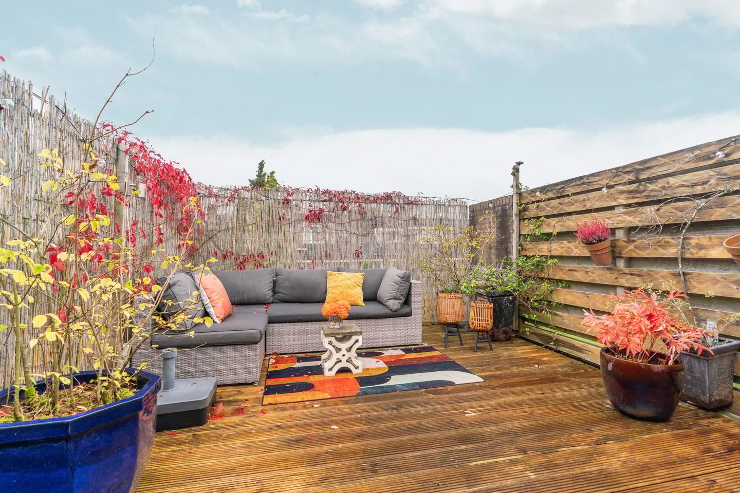 Foto 40 van Koolemans Beynenstraat 32