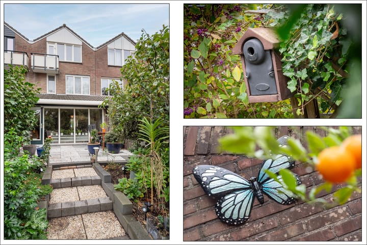 Foto 27 van Krulmos 13