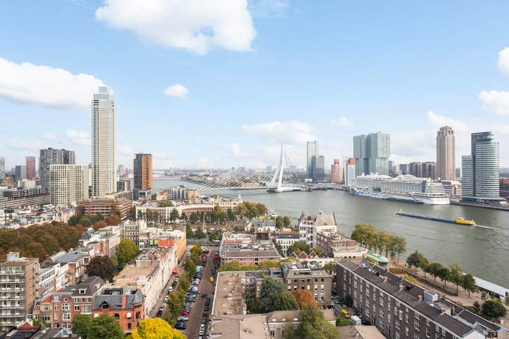 Foto 8 van Westerlaan 59