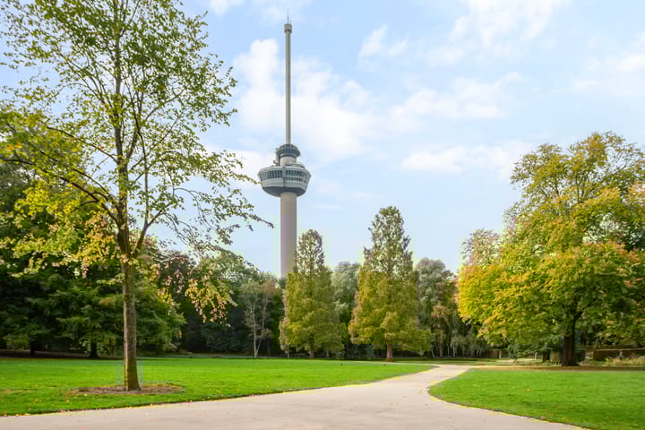 Foto 38 van Westerlaan 59