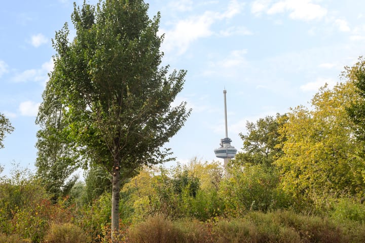 Foto 39 van Westerlaan 59