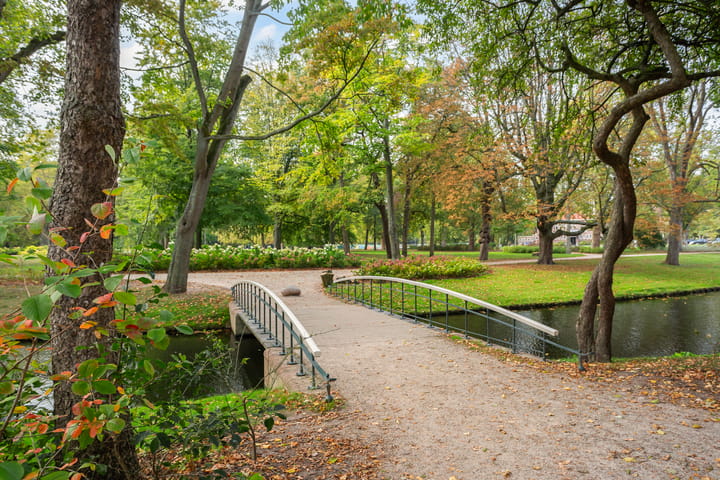 Foto 42 van Westerlaan 59