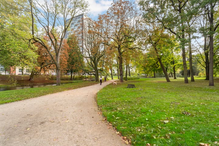 Foto 44 van Westerlaan 59