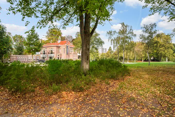 Foto 46 van Westerlaan 59