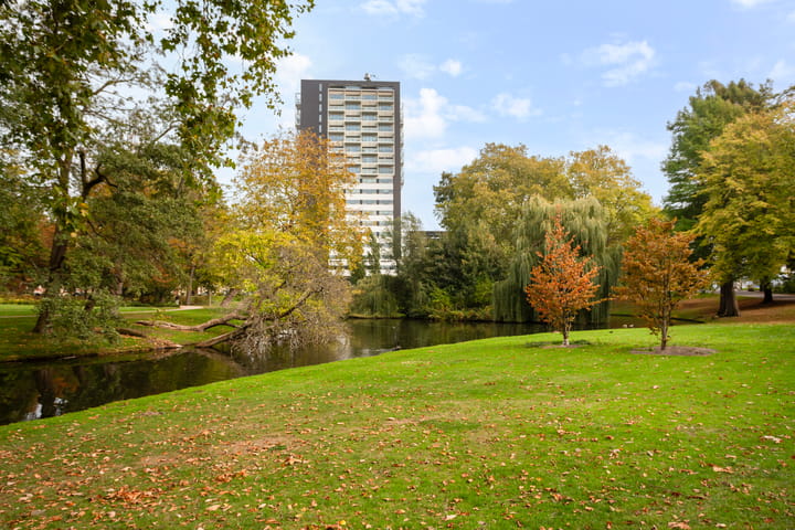 Foto 48 van Westerlaan 59