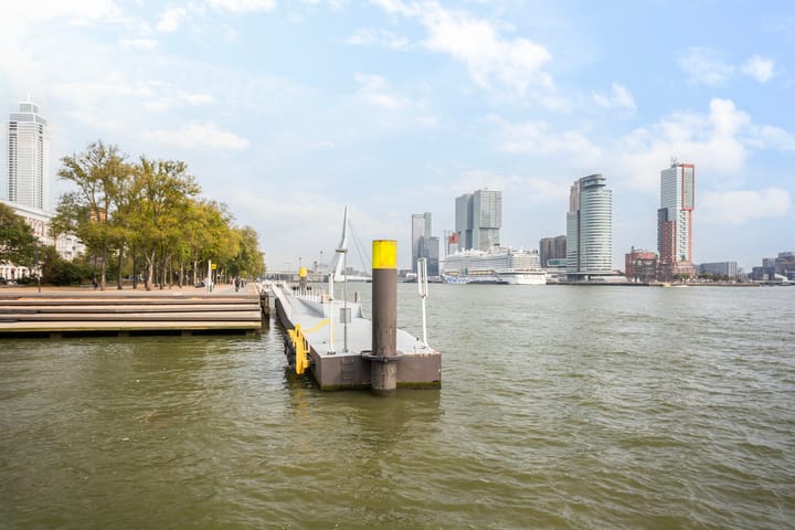 Foto 51 van Westerlaan 59