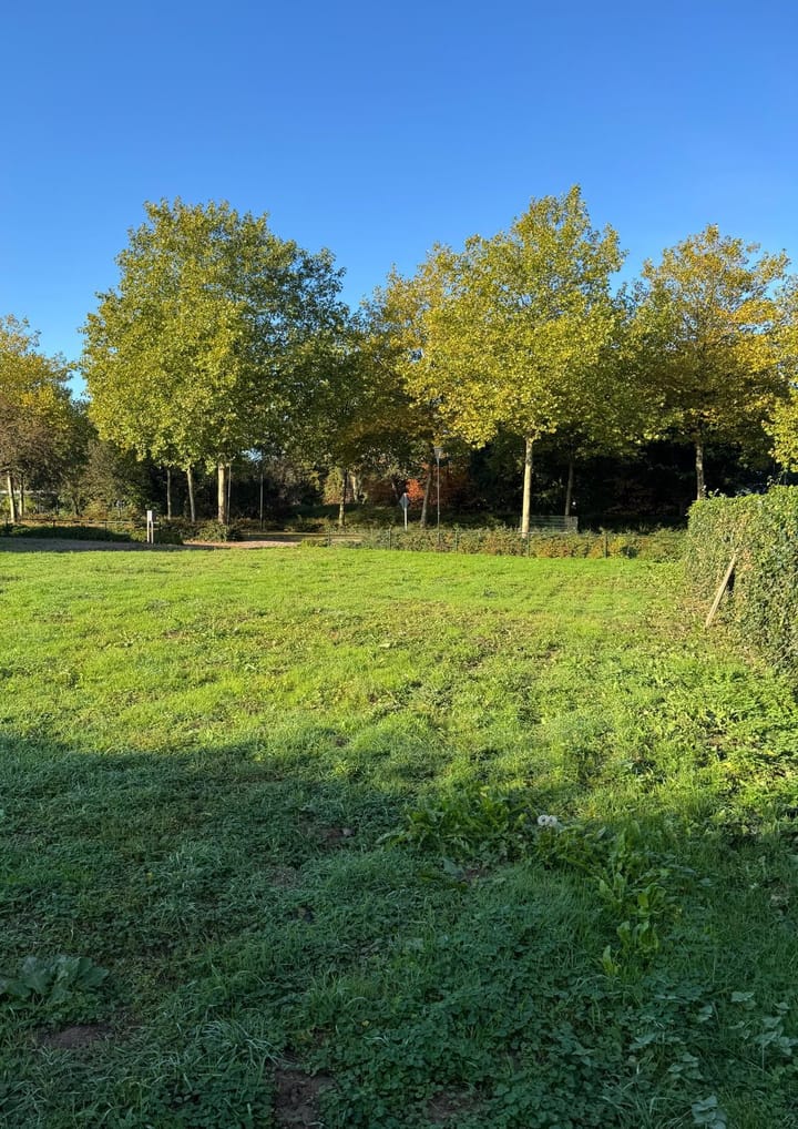 Photo 3 of Klein Rome