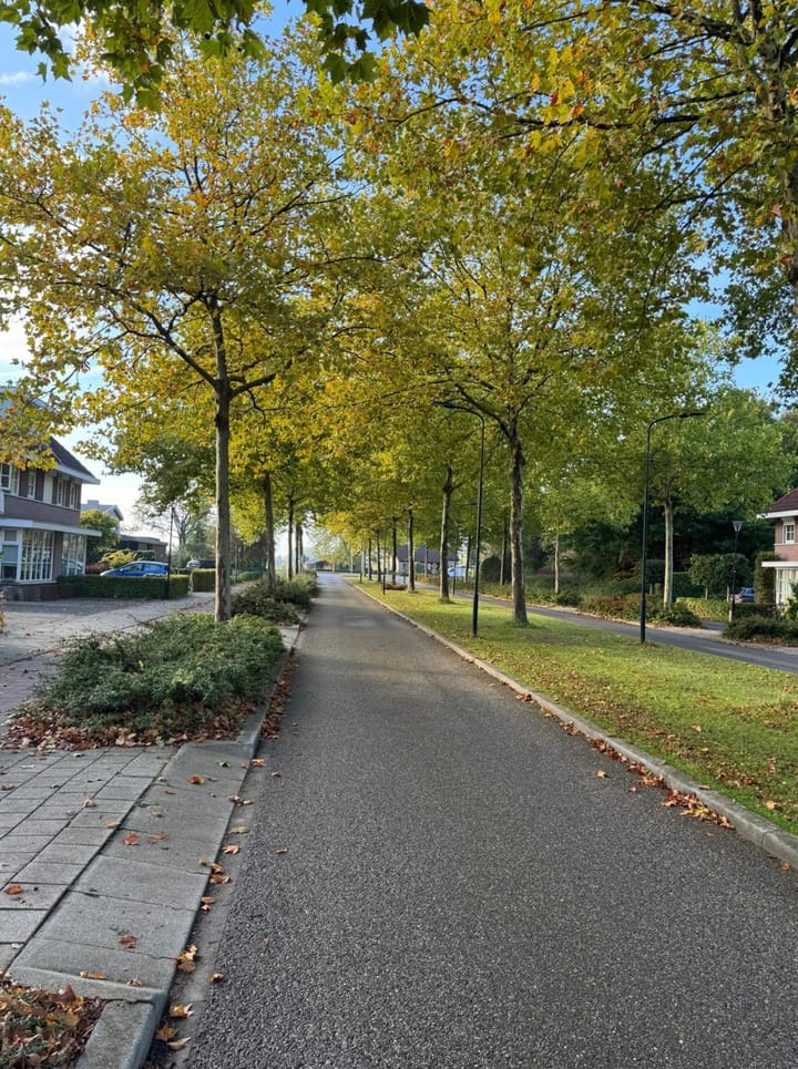 Photo 5 of Klein Rome