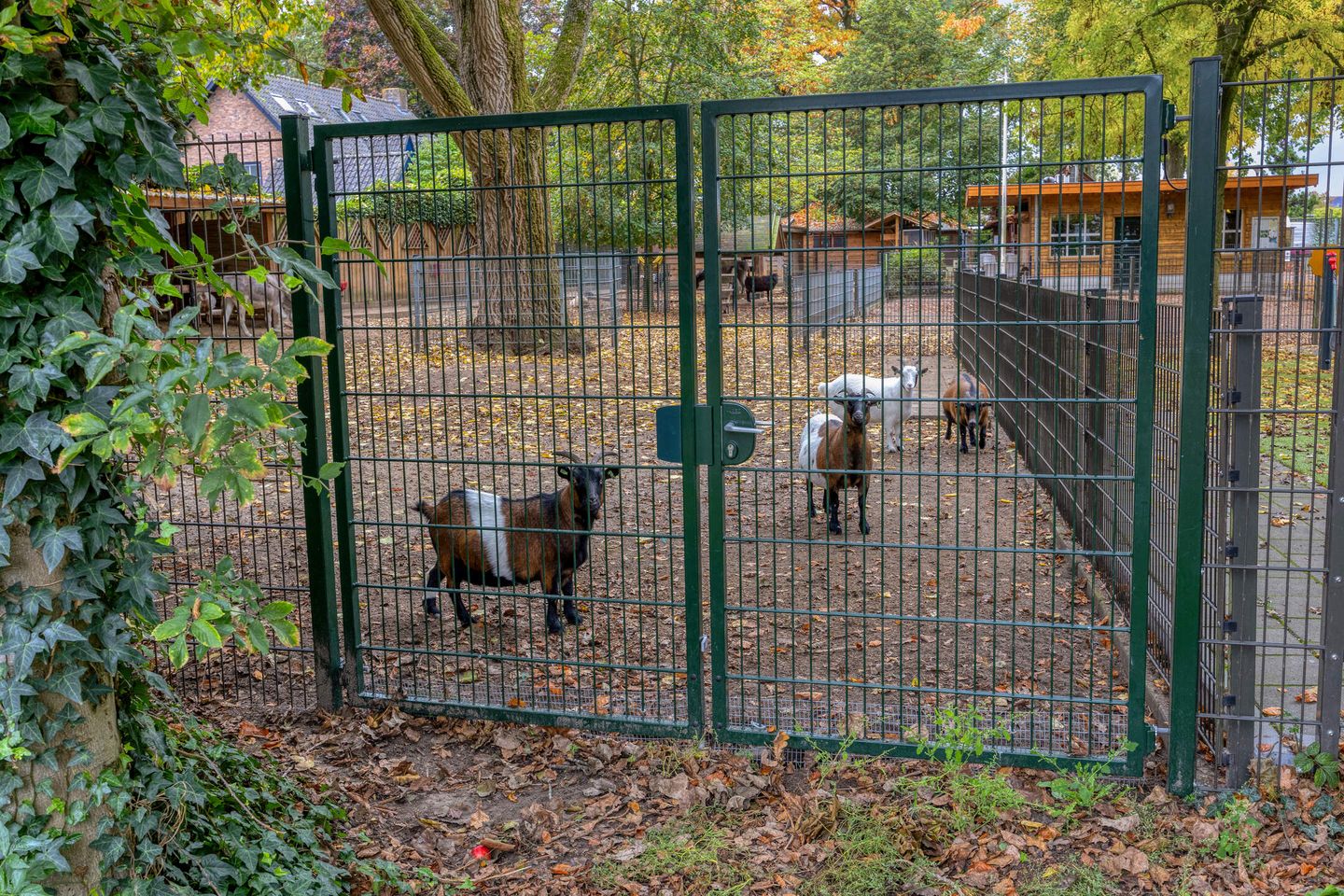 Foto 29 van Kantwerkerwei 24