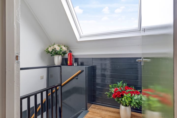 Photo 15 of Anker 49